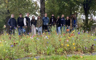 Ein Gar­ten für alle am Come­ni­us – das P‑Seminar Schulgarten