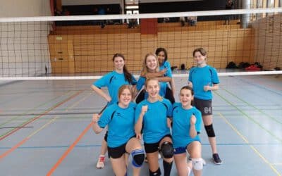 Comenius-Volleyballerinnen sind Regionalsieger