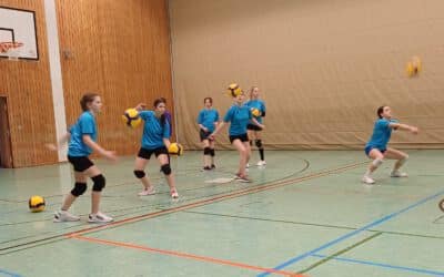 Comenius-Volleyballerinnen mit sensationeller Leistung im Bezirksfinale