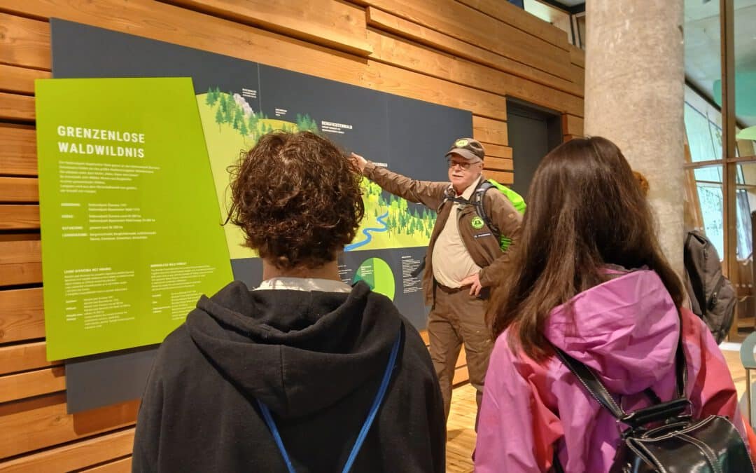 Ein „grünes Klassenzimmer“ im Nationalpark Bayerischer Wald: Geographie live erleben!